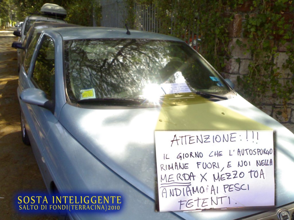 sostainteliggente2010.jpg